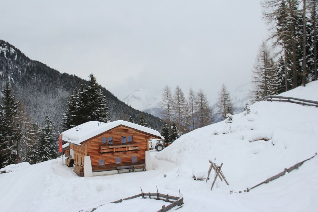 トラクターで山小屋に到着、シールをつけて登ります。