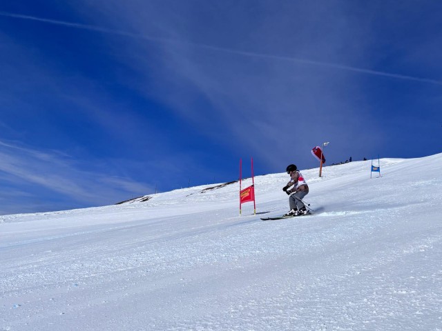 968dc787-8493-48e4-87b1-9eb3755db7c3