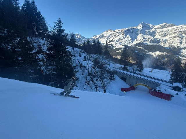 b4c0f7e3-c6ab-44e1-9727-acb6bc940c8e