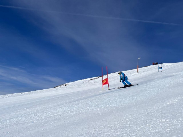 bf06255f-f0d1-4d94-9bdd-8bd15e9ed238