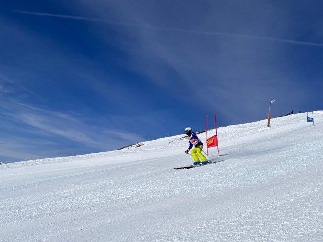 d2cb8931-4f7d-4a89-a7fd-2163d9018d7e