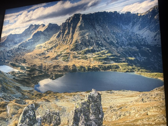 タトラ山脈の野生動物