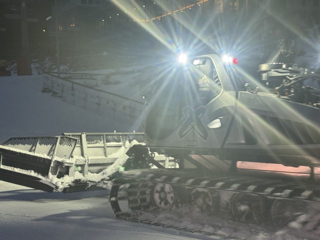 グルーミングに期待