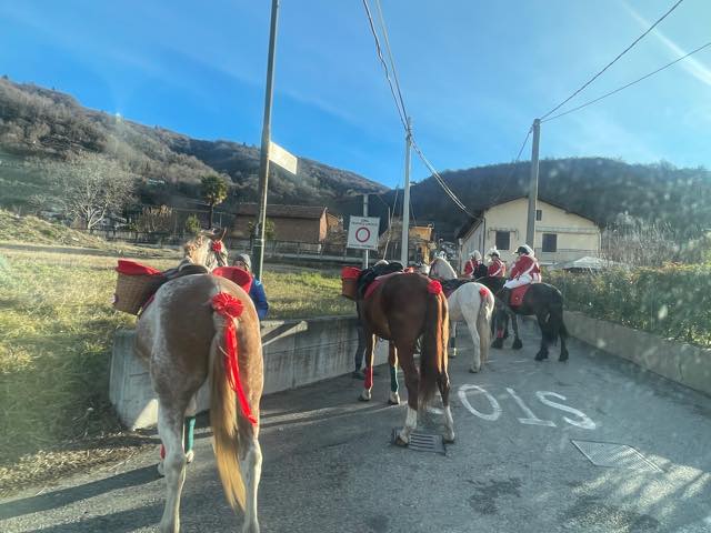 th_16A8B58F-287F-4ACE-9D33-5B827FCB6E4D