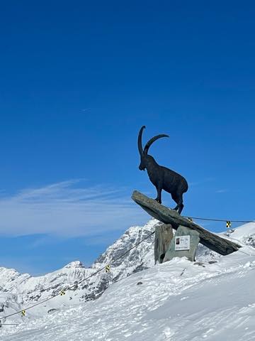 th_CD43862F-EC4A-4643-997B-98BEB73CE2B9