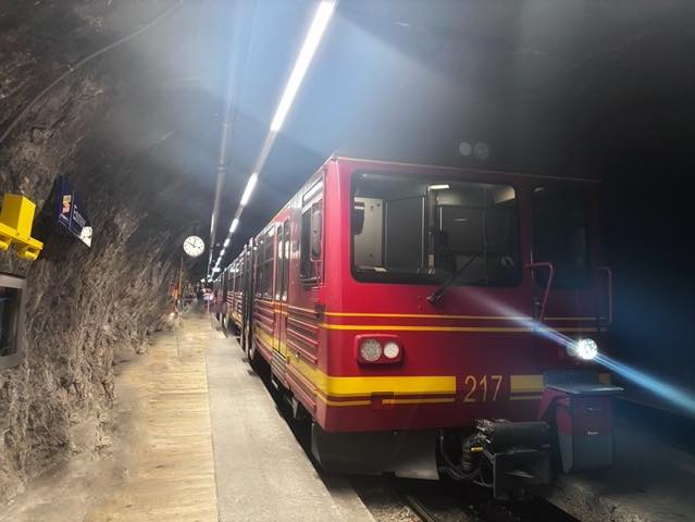 th_D30360B9-A8A0-479B-A159-121F883BE701