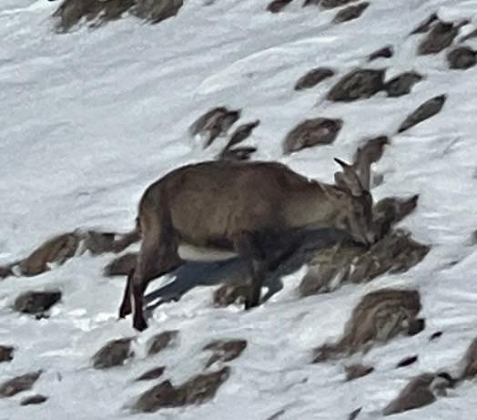 th_E5BE797C-73B0-48C7-A118-43A8640B417F_1_201_a