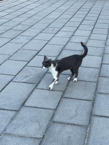 th_F7DDB7E5-E8BE-4482-90D4-08FC97A030E9