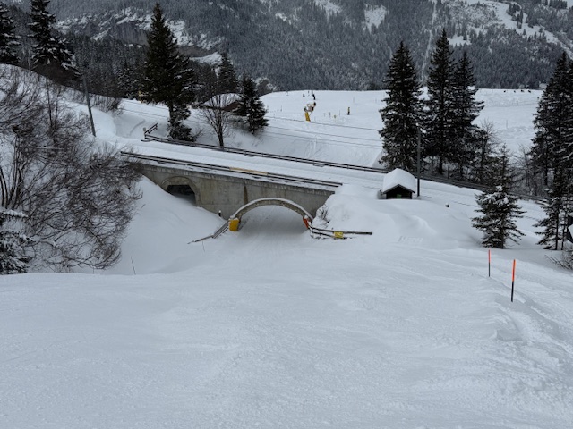 ワールドカップコースのトンネル