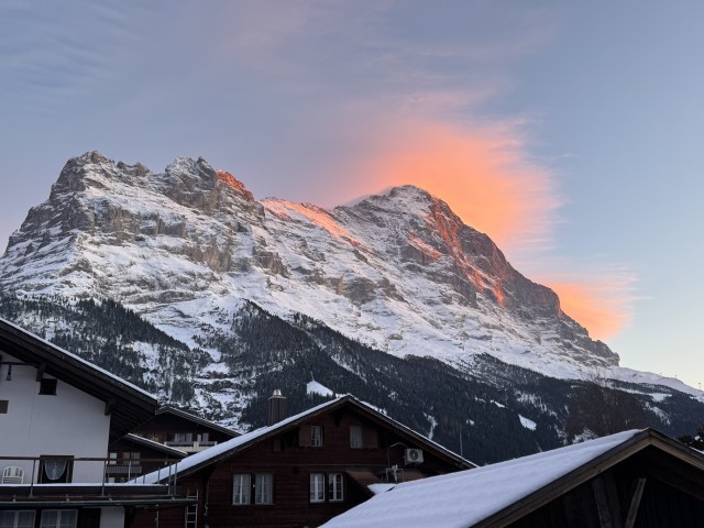 91A80131-BF6F-482E-8307-94189746167A